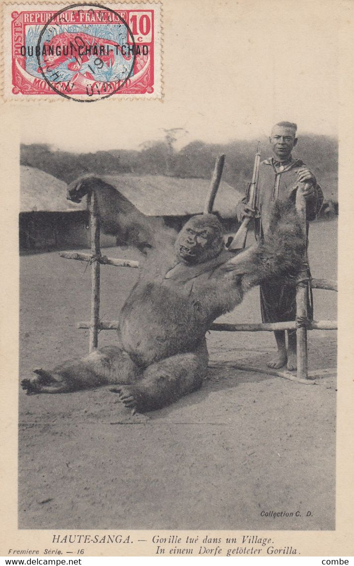 CARTE. OUBANGUI-CHARI-TCHAD. 1919. HAUTE-SANGA. GORILLE TUE DANS UN VILLAGE - Cartas & Documentos