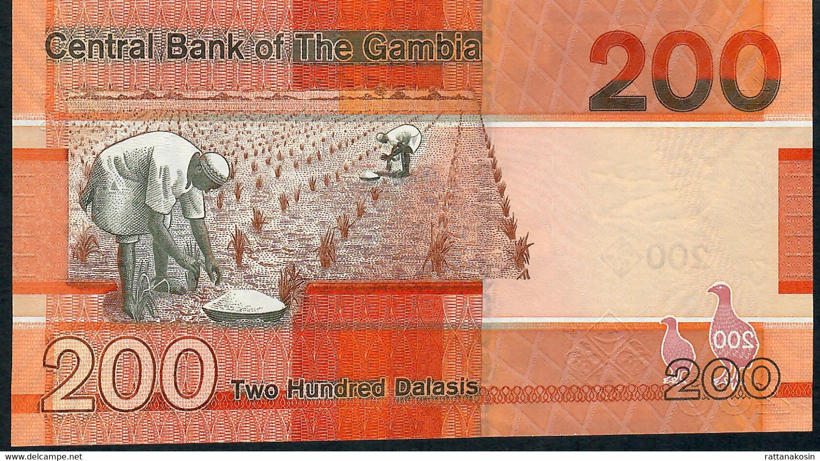 GAMBIA P42b 200 DALASIS 2020 #D    DATED 2020  UNC. - Gambie