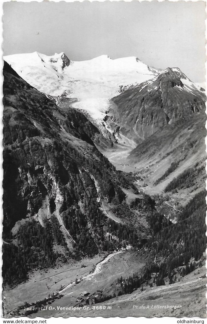 2200x: AK Kals, Großvenediger, Mehrere Hüttenstempel, Gelaufen 1950 Nach Wien - Kals