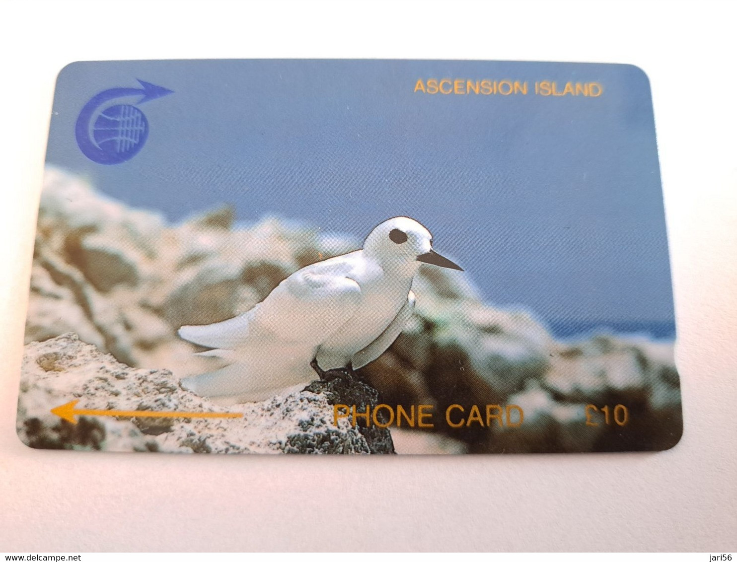 ASCENSION ISLAND   10 Pound Bird Stern  1CASC   MINT Old  Logo C&W **10721** - Isole Ascensione