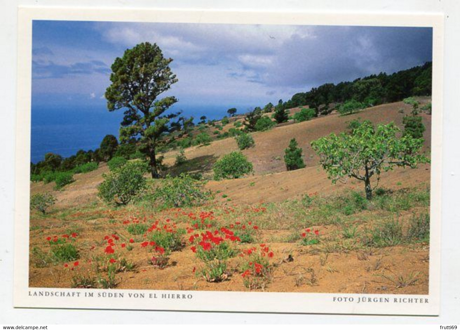 AK 075113 SPAIN - El Hierro - Landschaft Im Süden - Hierro
