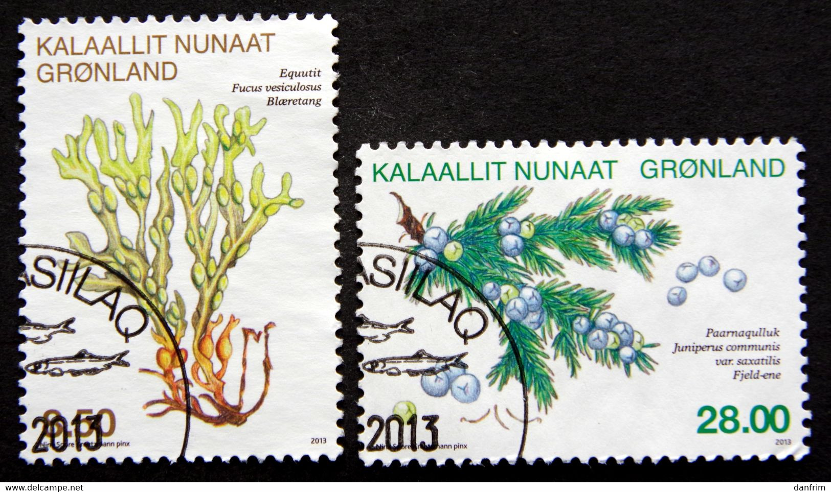 GREENLAND 2013 Flora Plants  Minr.643-44      (lot H 96) - Used Stamps