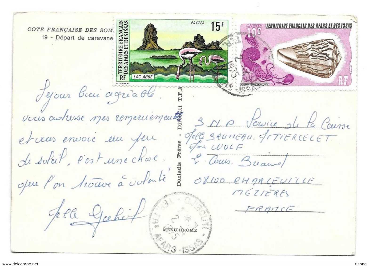 TERRITOIRE FRANCAIS DES AFARS ET ISSAS 1975 DJIBOUTI - FLAMANTS ROSES, COQUILLAGE, VOYAGEE POUR CHARLEVILLE FRANCE, - Covers & Documents