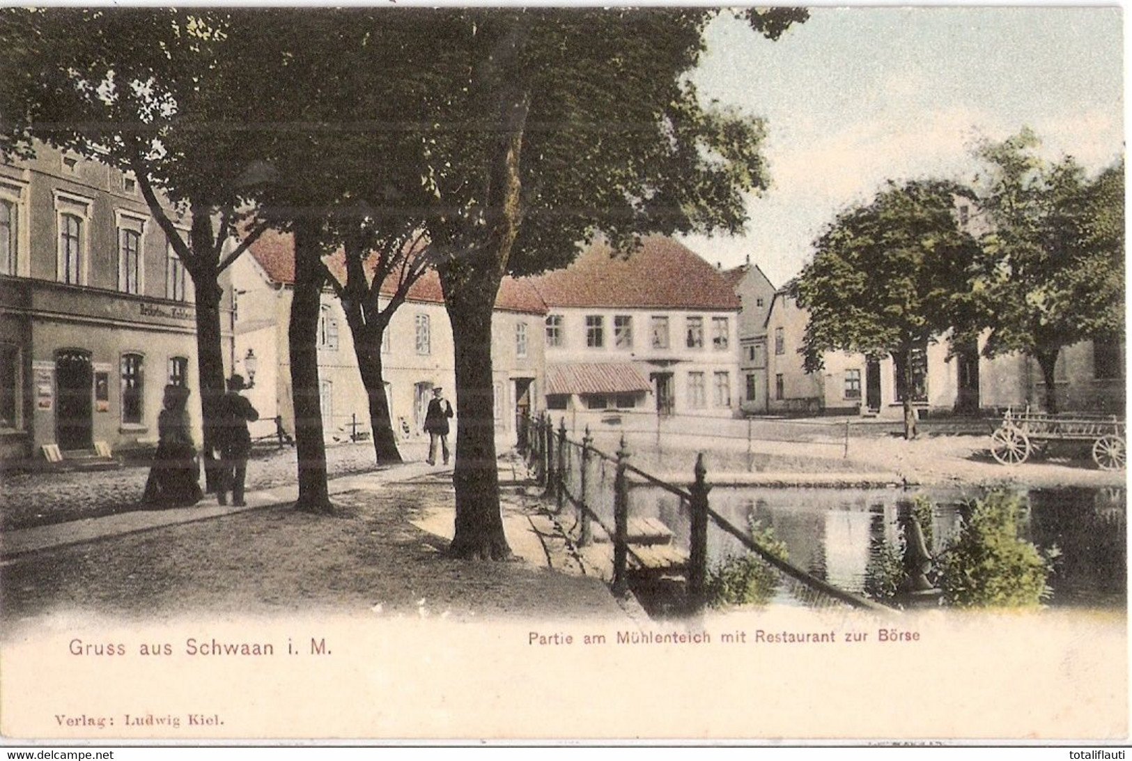 Gruß Aus SCHWAAN Mecklenburg Partie Am Mühlenteich Restaurant Zur Börse Gelaufen 8.11.1905 - Bützow