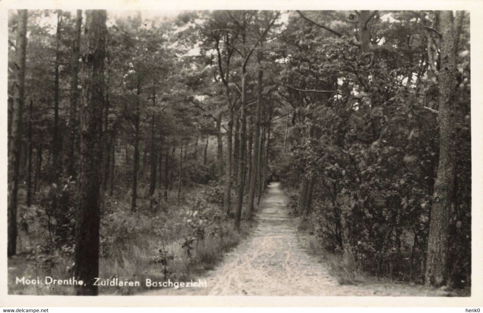 Zuidlaren Boschgezicht KL351 - Zuidlaren