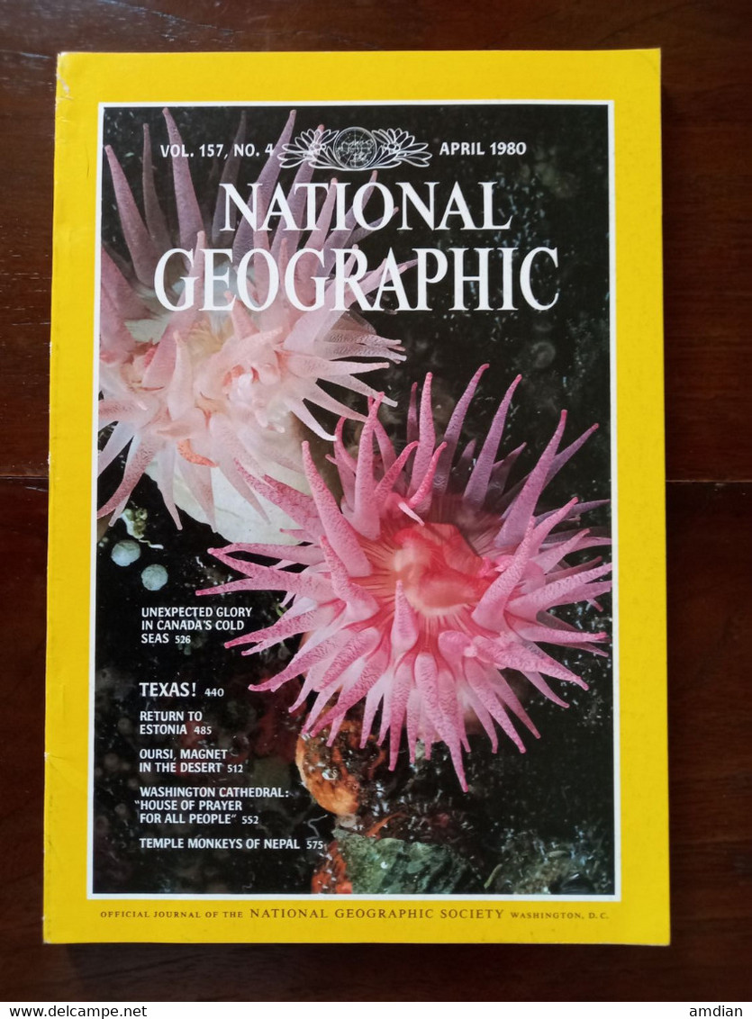 NATIONAL GEOGRAPHIC Magazine April 1980 VOL 157 No 4 CANADA'S COLD SEAS - TEXAS - ESTONIA - OURSI - Sonstige & Ohne Zuordnung