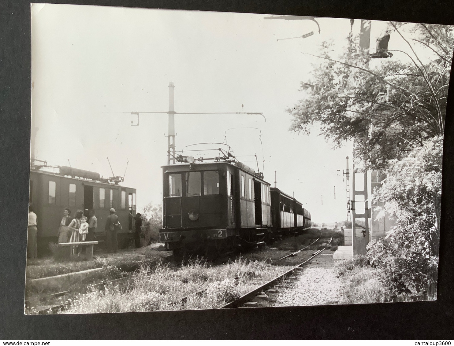 Photo Numérotée De BAZIN: Train De La Camargue : Le SAMBUC En 1953 - Trains