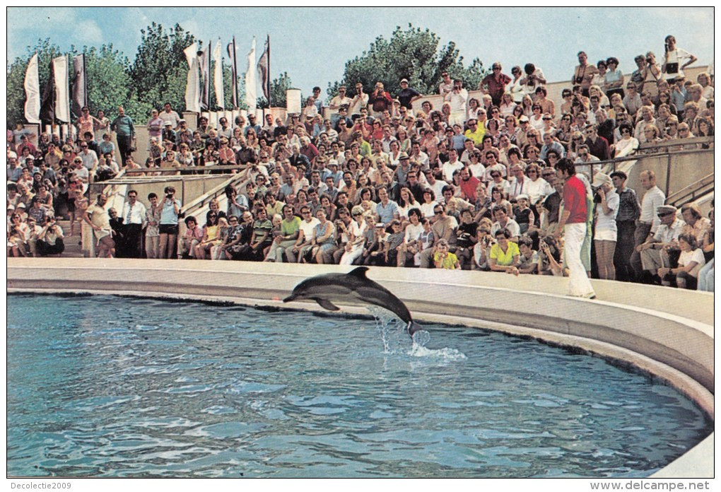 ZS48760  Delfinariu Constanta Dolphin  Dauphin  Animals Animaux    2 Scans - Dauphins