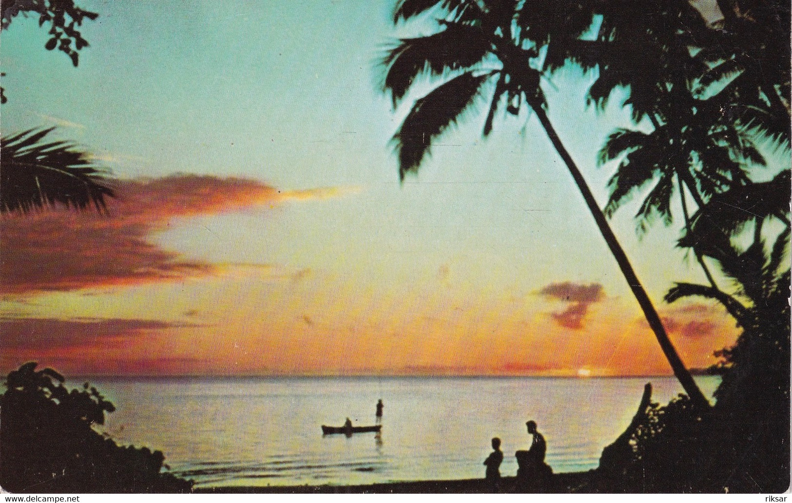 FIDJI(ARBRE) - Fidji