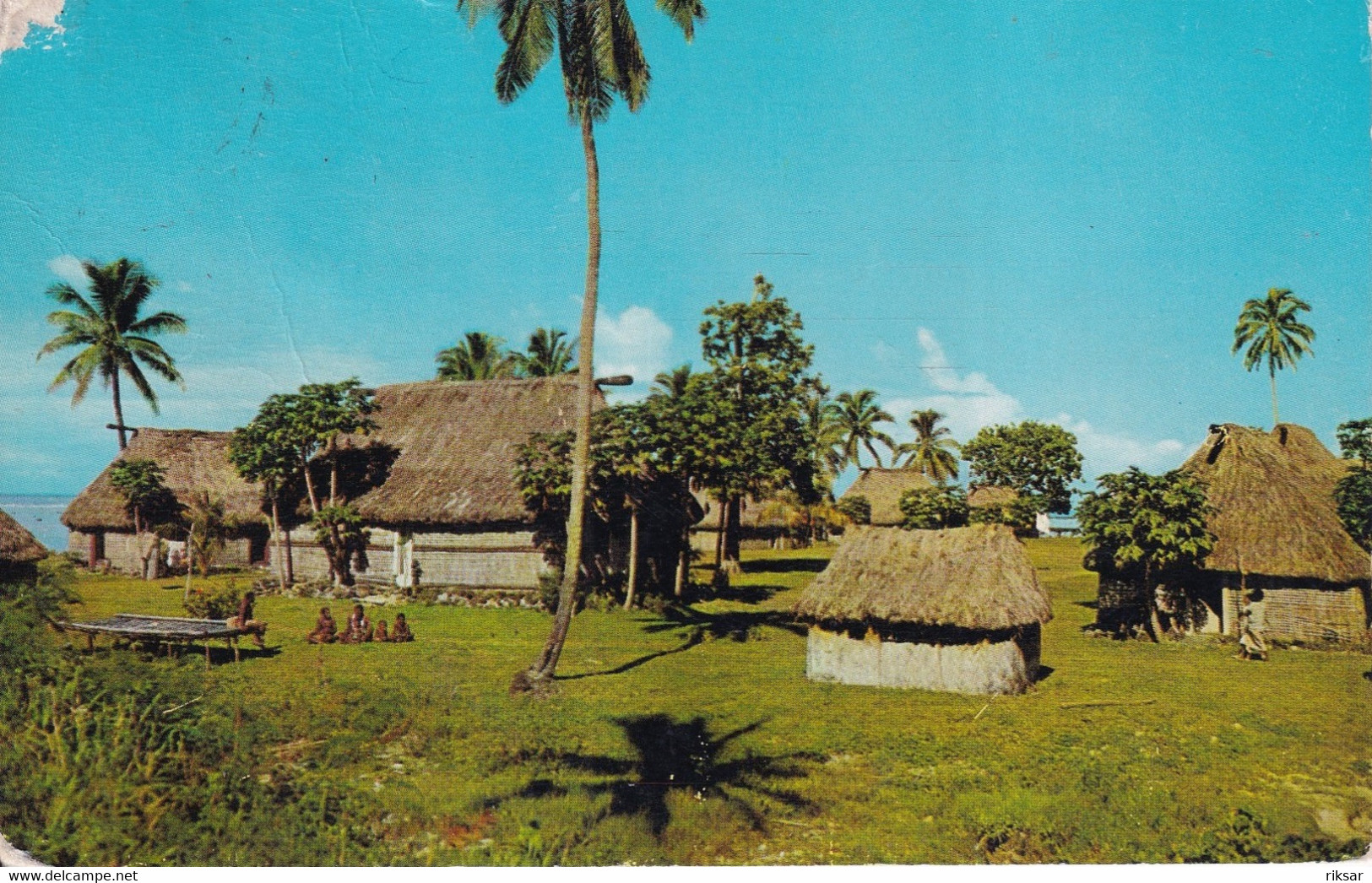 FIDJI(ARBRE) - Fidji