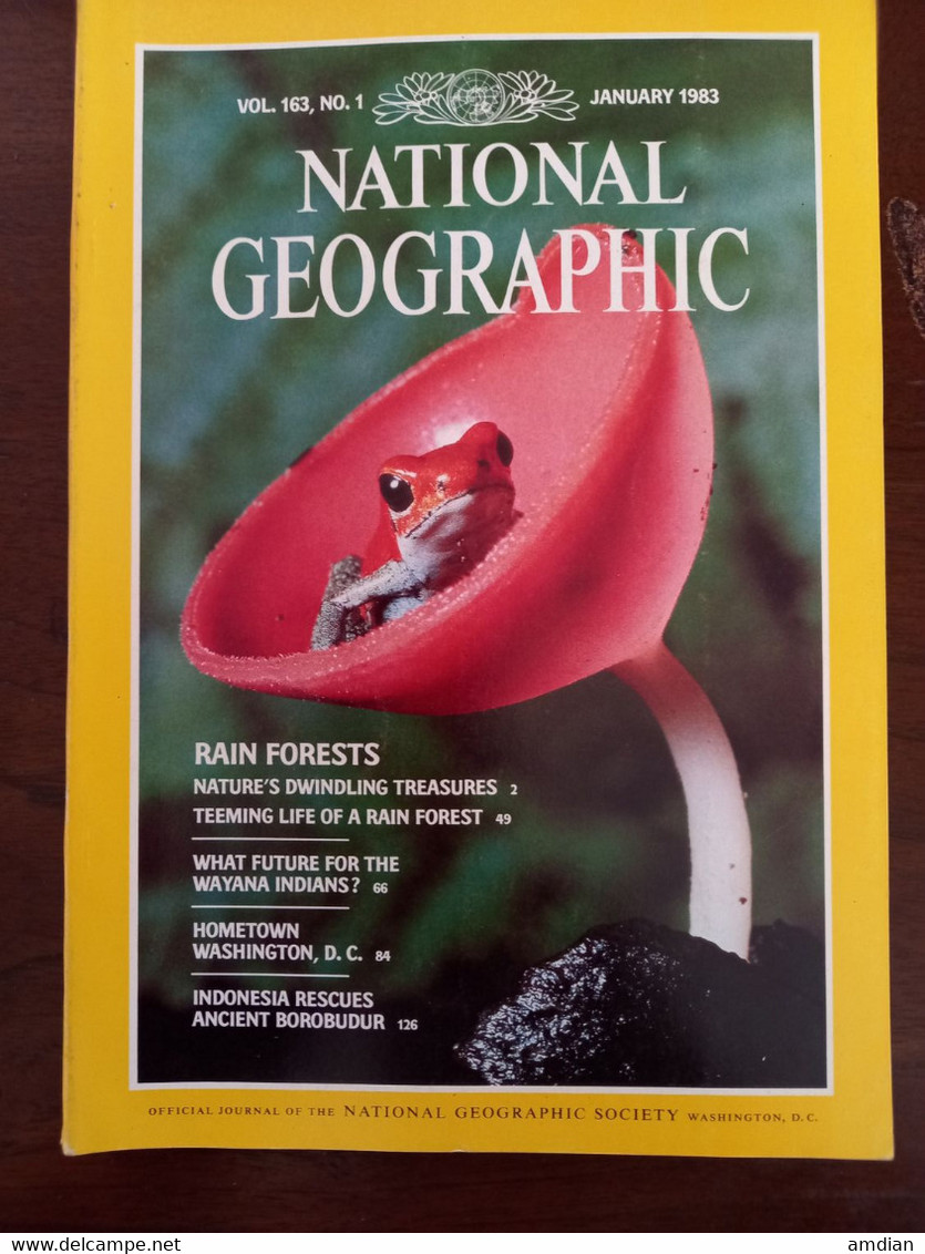 NATIONAL GEOGRAPHIC Magazine January 1983 VOL 163 No 1 - RAIN FORESTS - WAYANA INDIANS - WASHINGTON DC - Sonstige & Ohne Zuordnung