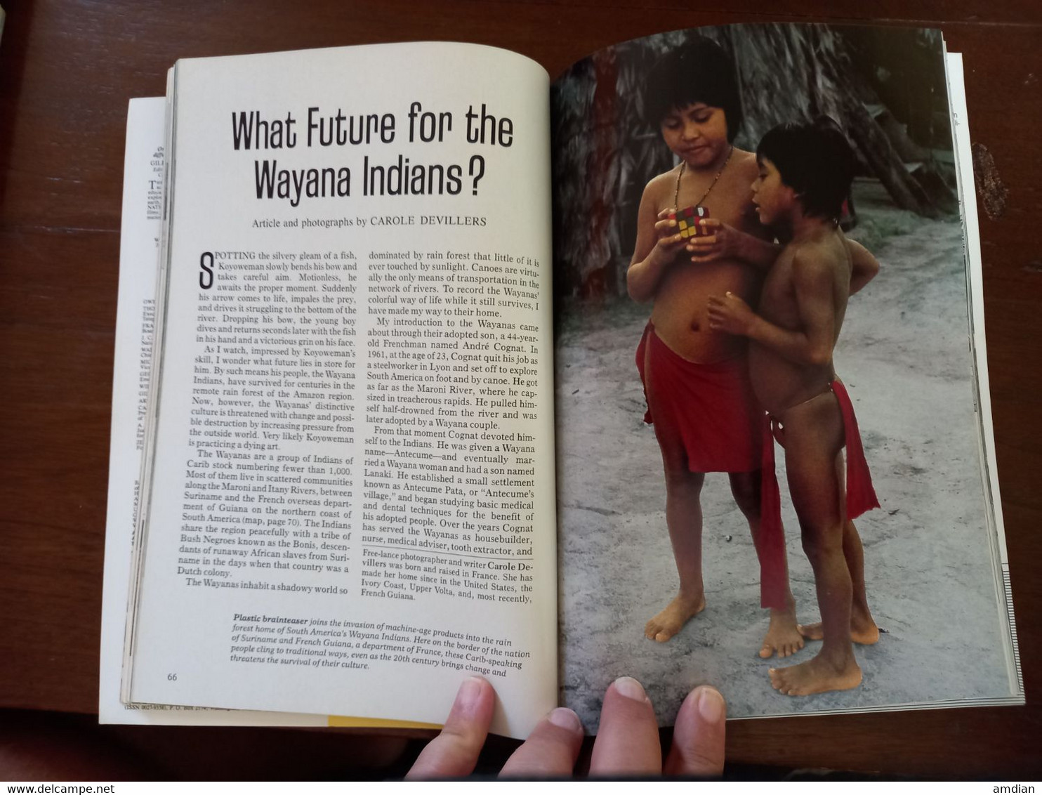 NATIONAL GEOGRAPHIC Magazine January 1983 VOL 163 No 1 - RAIN FORESTS - WAYANA INDIANS - WASHINGTON DC - Autres & Non Classés