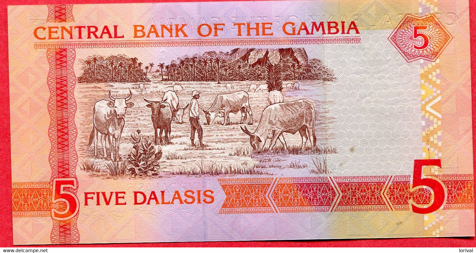 5 Dalasi  Neuf 3 Euros - Gambia