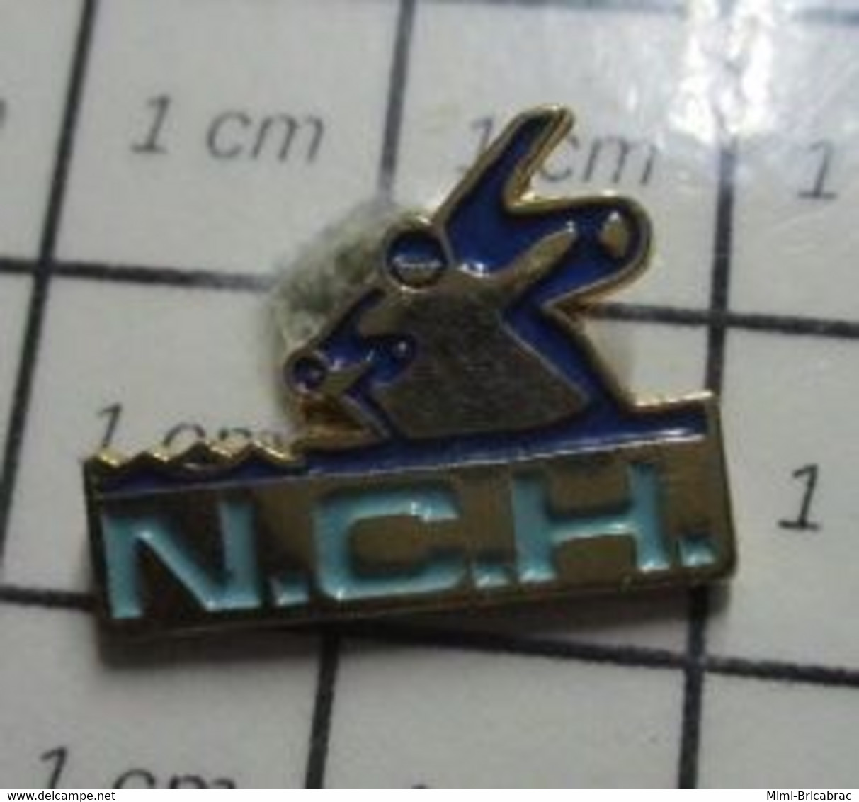 512F Pin's Pins / Beau Et Rare / THEME : SPORTS / CLUB NATATION NCH - Swimming