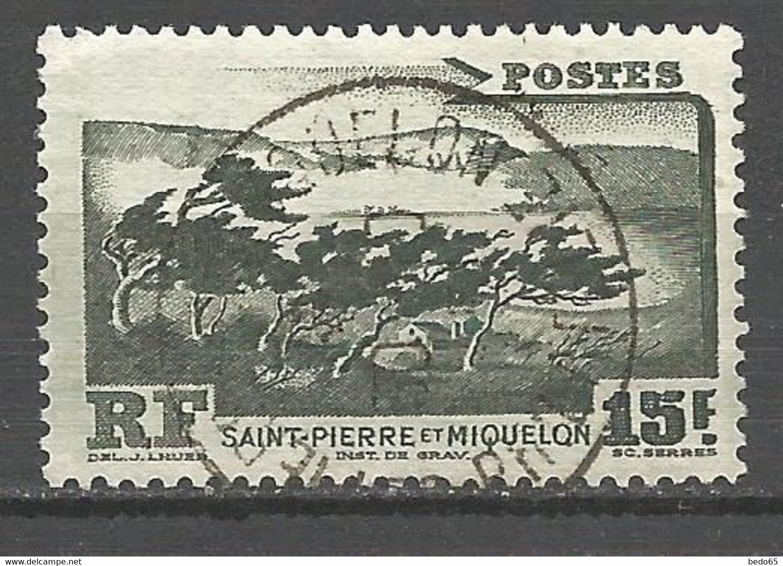 ST PIERRE ET MIQUELON N° 341 CACHET ST P ET MIQUELON - Used Stamps