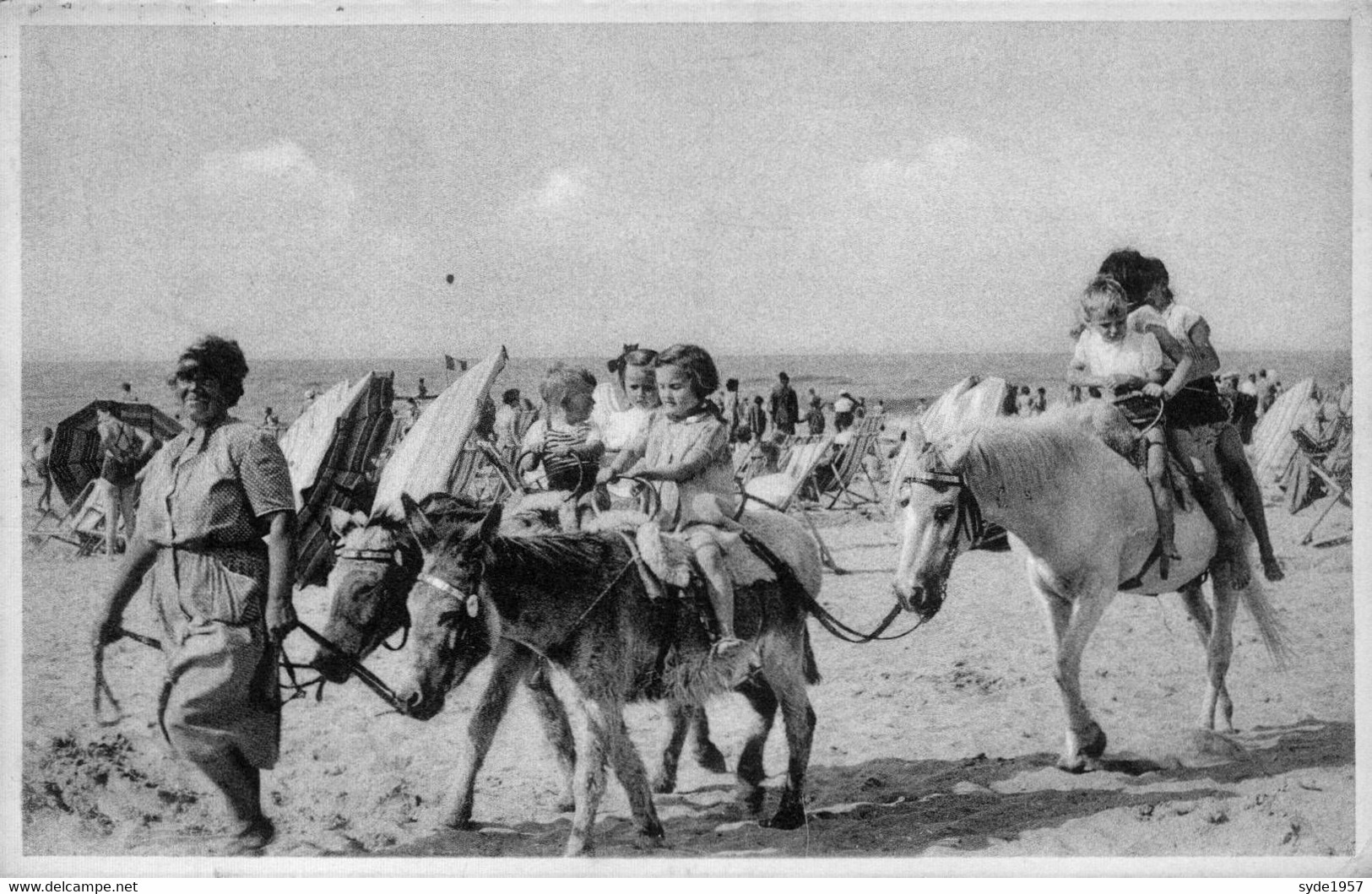 Coq Sur Mer : Promenade à Dos D'âne - De Haan