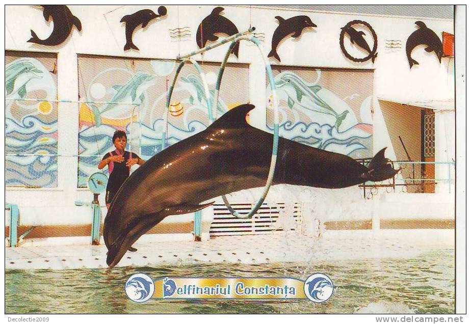 Zd2704 Animaux Animals Dolphins Dauphins Romania Not Used PPC Good Shape - Dauphins