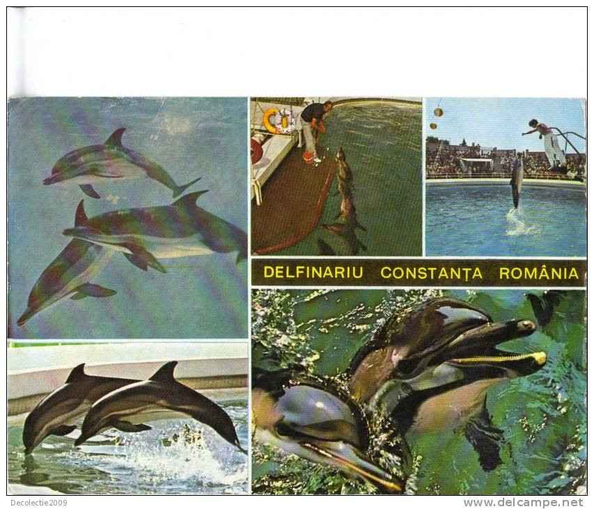 Zs28098 Constanta Delphinarium Dauphins Dolphins Ponticus 25x15 Cm  Not Used Back Scan Available At Request - Dauphins