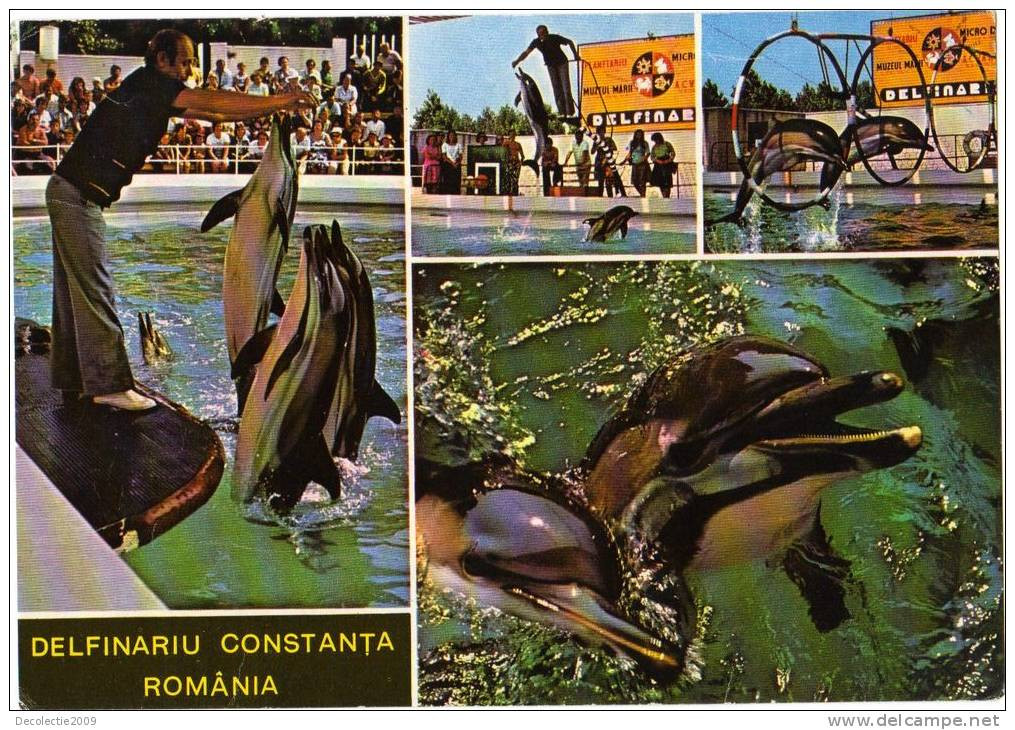 Zs28097 Constanta Delphinarium Dauphins Dolphins Ponticus 25x15 Cm  Not Used Back Scan Available At Request - Dauphins