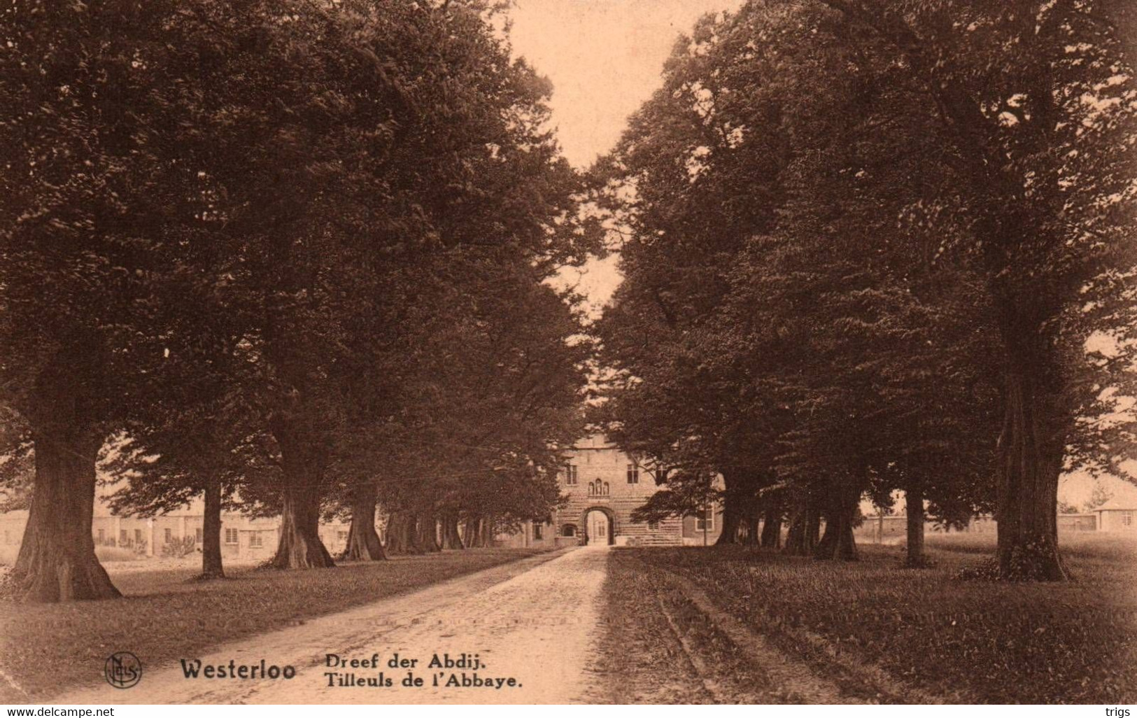 Westerloo - Dreef Der Abdij - Westerlo