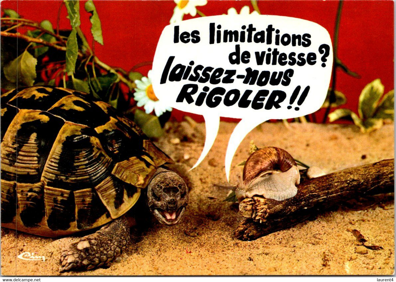 (1 J 33) France - Humour - Tortoises (speed Limit !) - Turtles