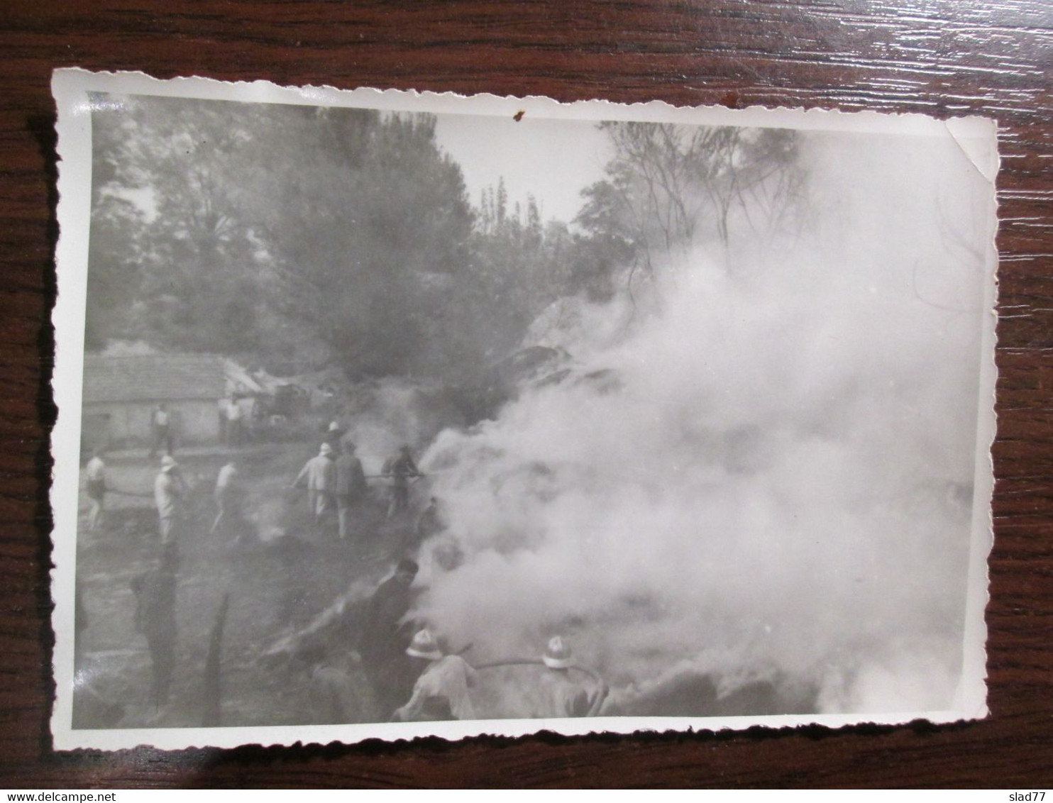 1950's Firefighters In Yugoslavia - Berufe