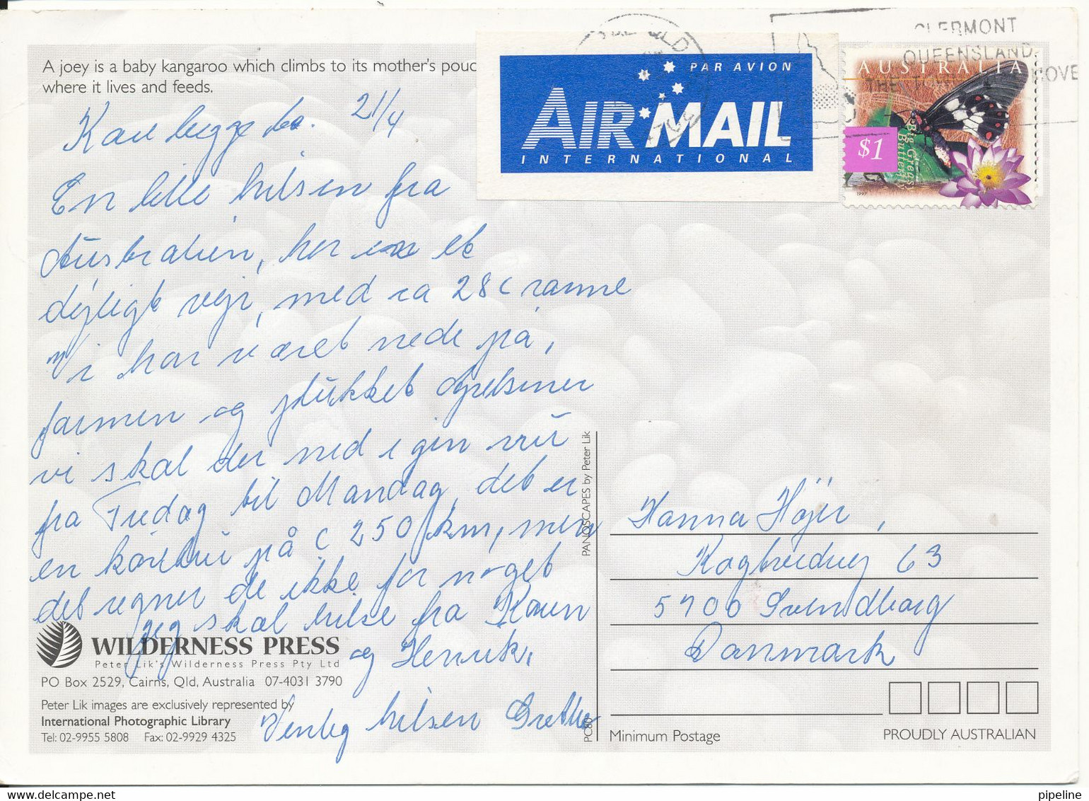 Australia Postcard Sent To Denmark (Joey) - Other & Unclassified