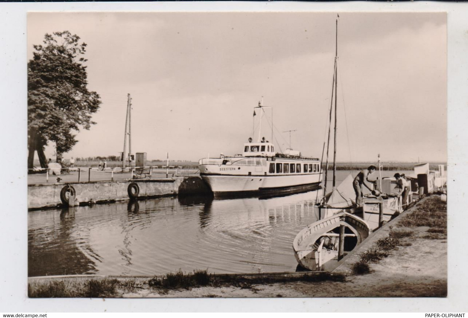 0-2385 ZINGST / Darß, Hafen, Passagierschiff "SEESTERN" - Zingst