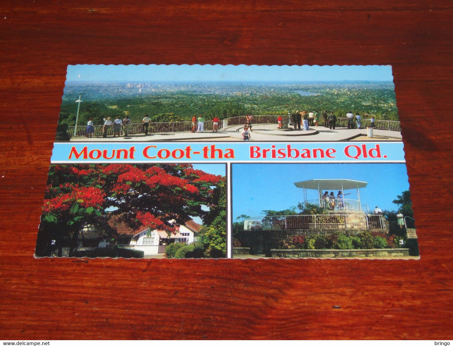 51255-               MOUNT COOT-THA, BRISBANE, QUEENSLAND, AUSTRALIA - Brisbane