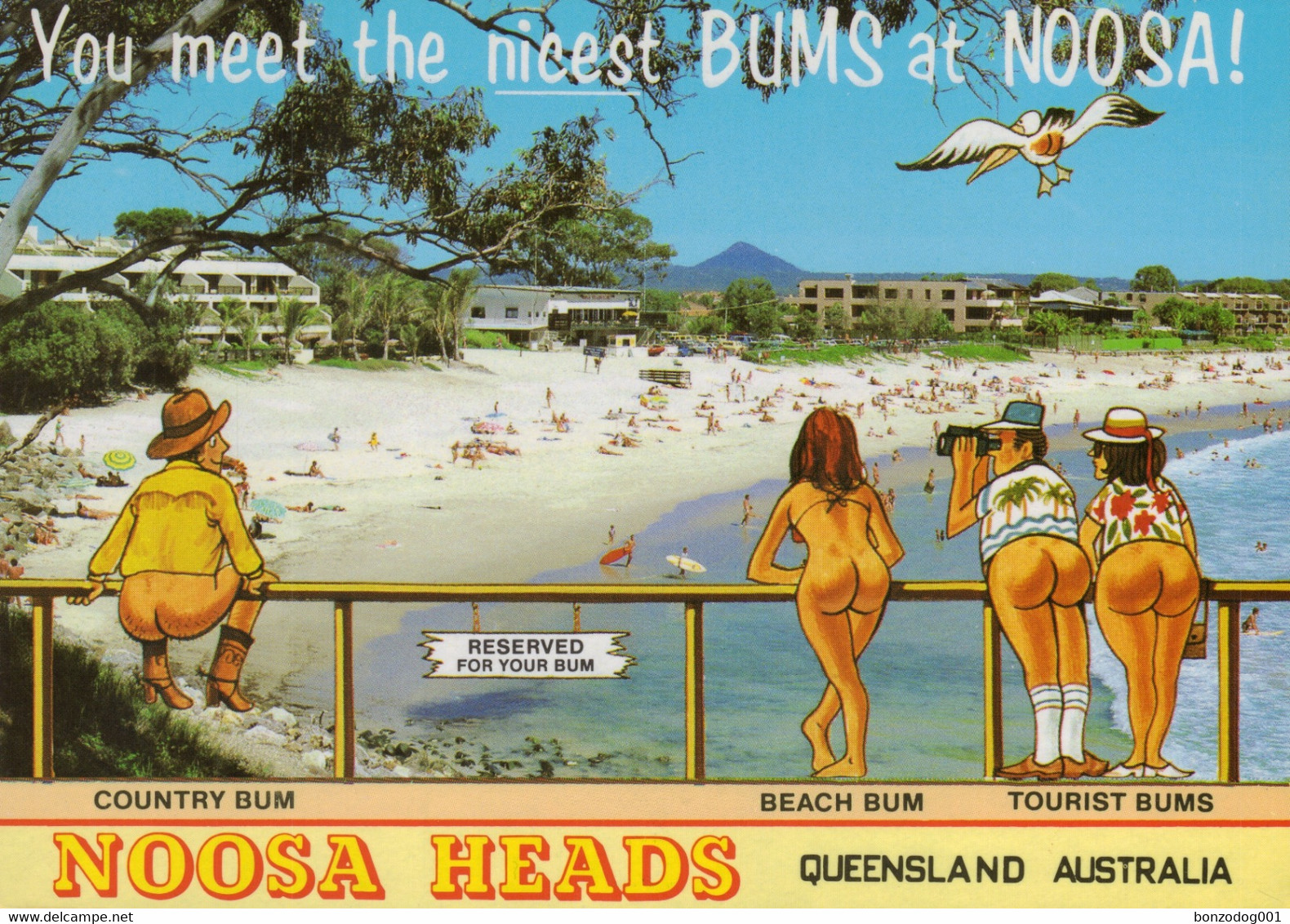 Noosa Heads, Queensland, Australia. You Meet The Nicest Bums At Noosa! - Sunshine Coast