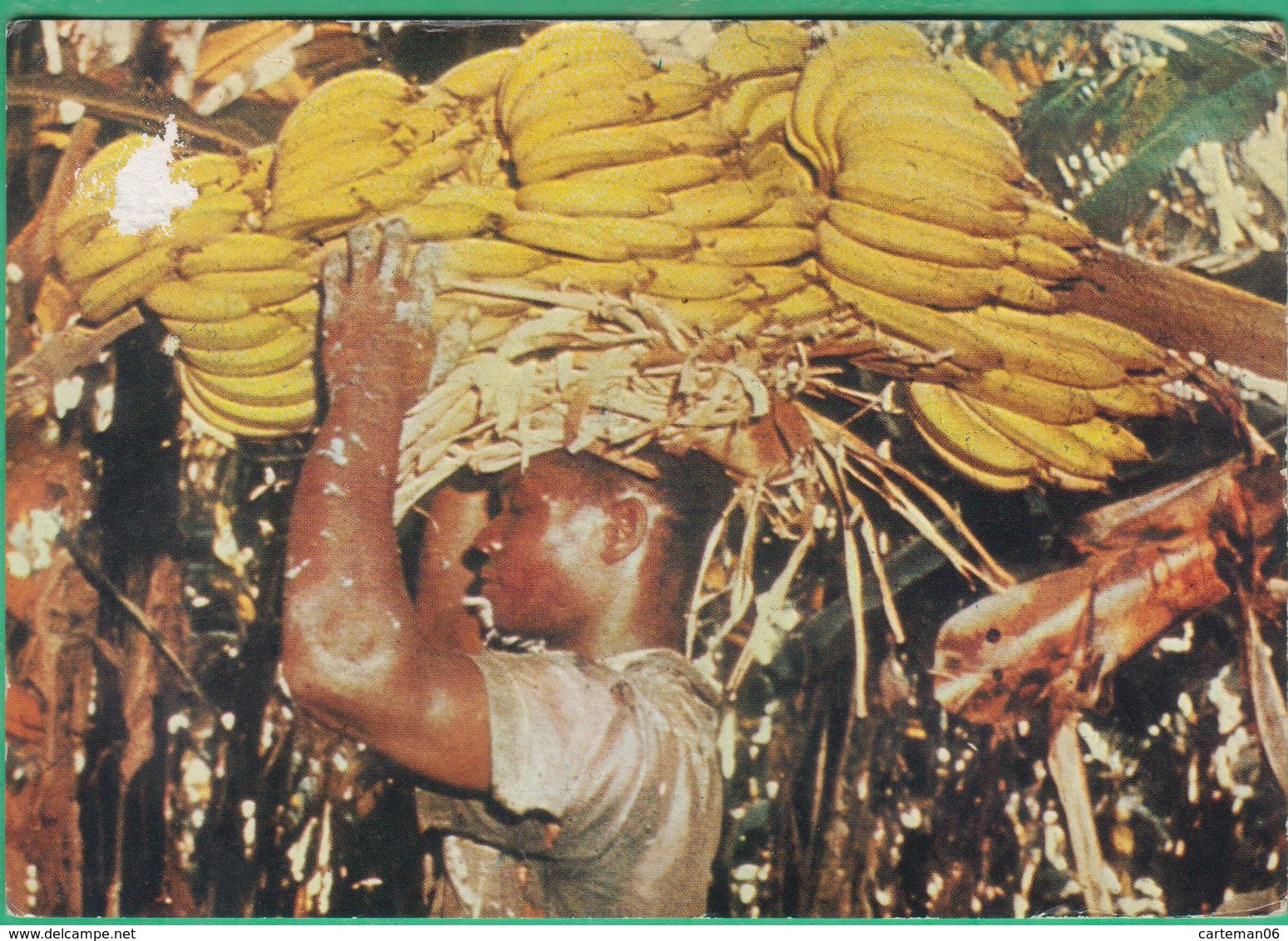 Antilles - Escale à Saint Vincent - Récolte De Bananes - Saint Vincent En De Grenadines