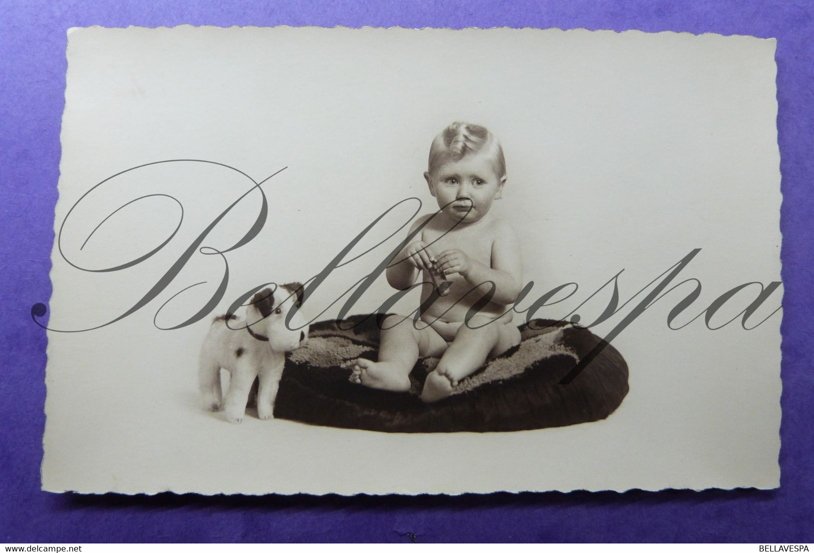 Carte Photo  Photographer  Baby-bébé Babie.studio Art Portret Steiff Terrier ? - Fotografie