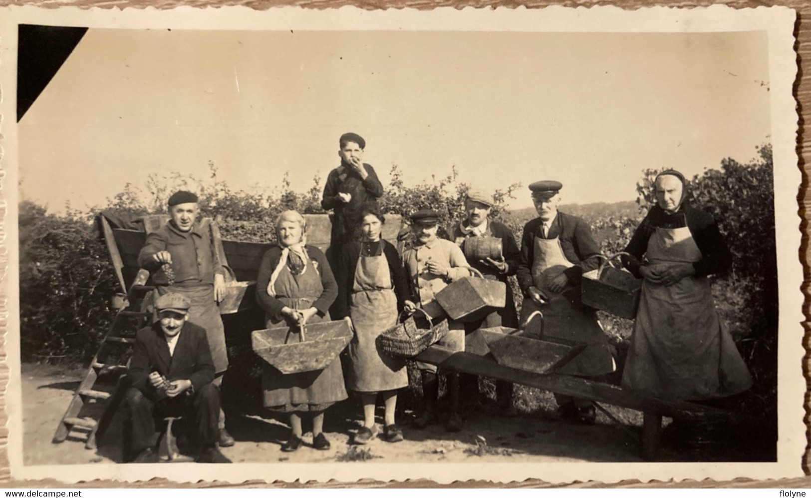 Montaigu - 4 Photos Anciennes - Les Vendanges Dans La Commune - Vendangeurs Vigne Vignoble Vin - 1938 - Montaigu