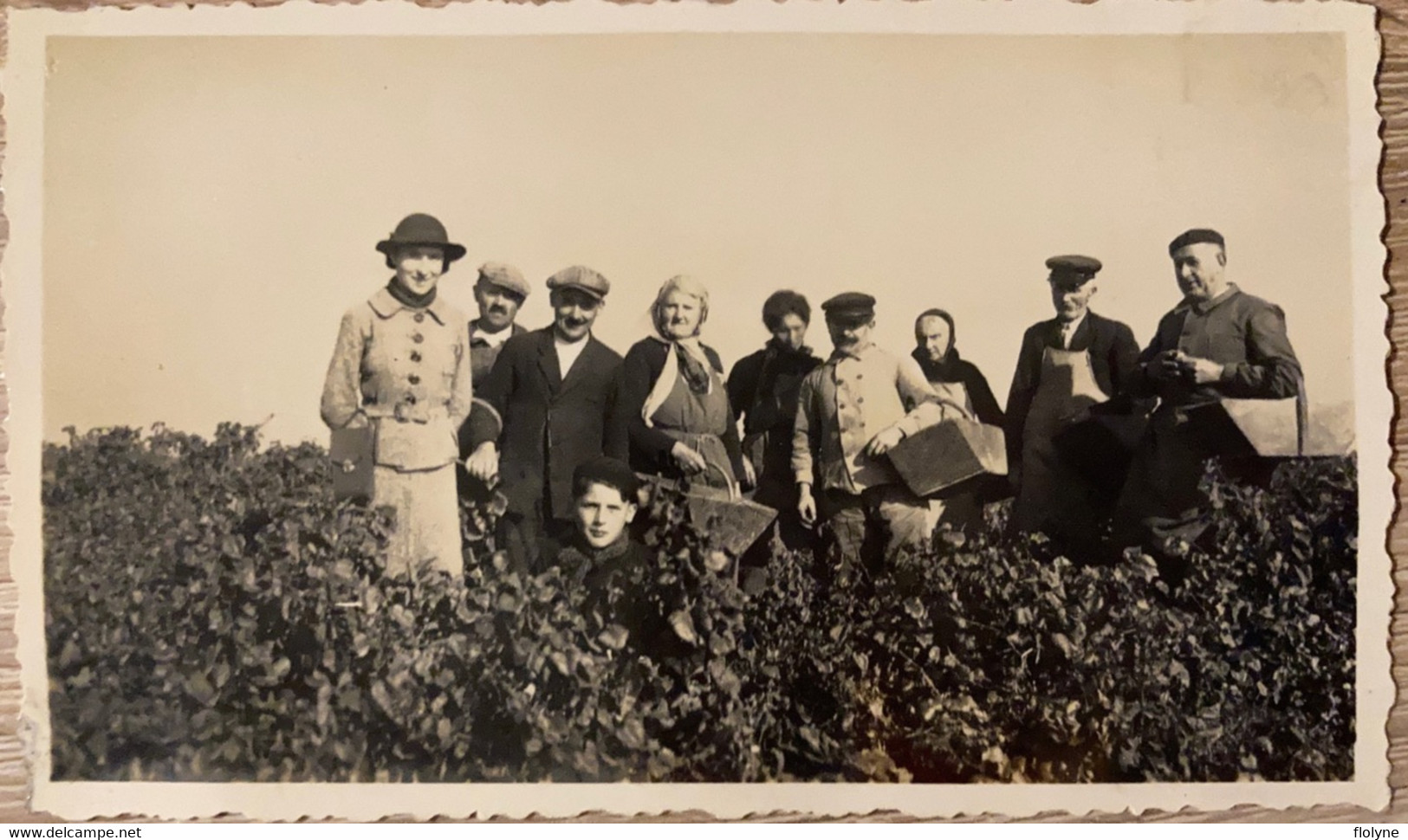 Montaigu - 4 Photos Anciennes - Les Vendanges Dans La Commune - Vendangeurs Vigne Vignoble Vin - 1938 - Montaigu