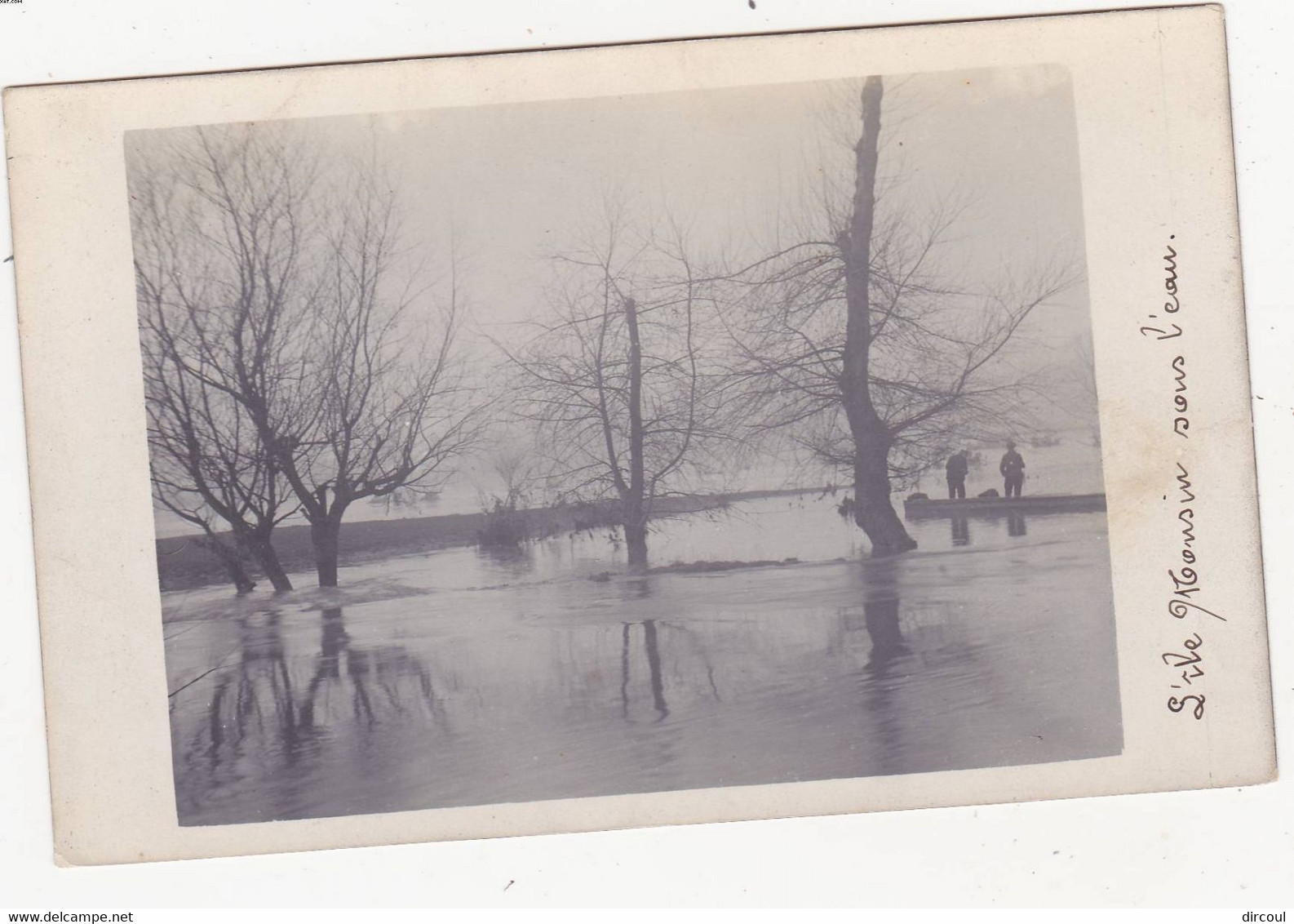 50412  Herstal  L'île  Monsin  Sous  L'eau  Carte  Photo - Herstal