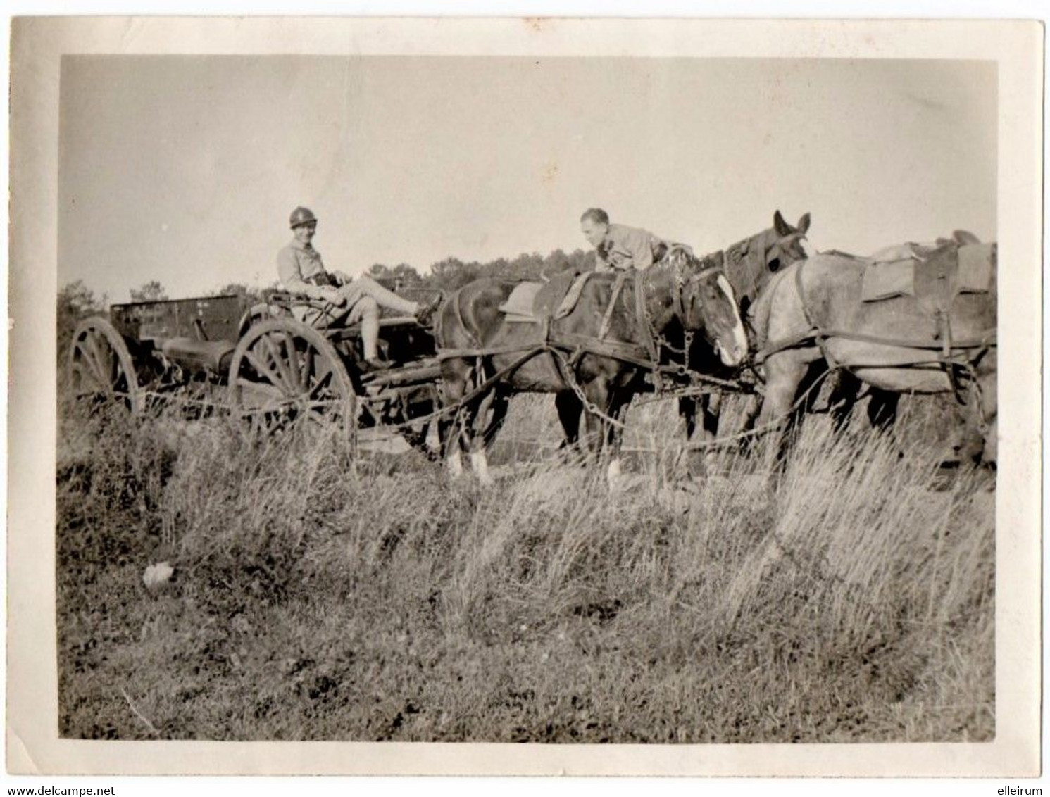 MILITARIA. PHOTO. ATTELAGE De CHEVAUX TIRANT Un CANON. - Guerre, Militaire