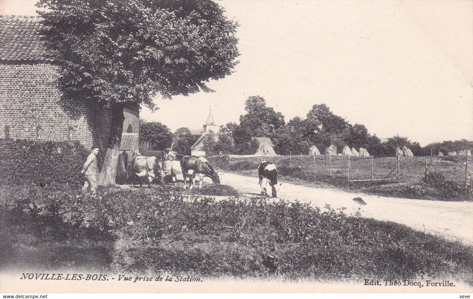 NOVILLE-LES-BOIS Vue Prise De La Station Par Théo DOCK De FORVILLE Carte  état Neuf Dos Non Divisé - Fernelmont