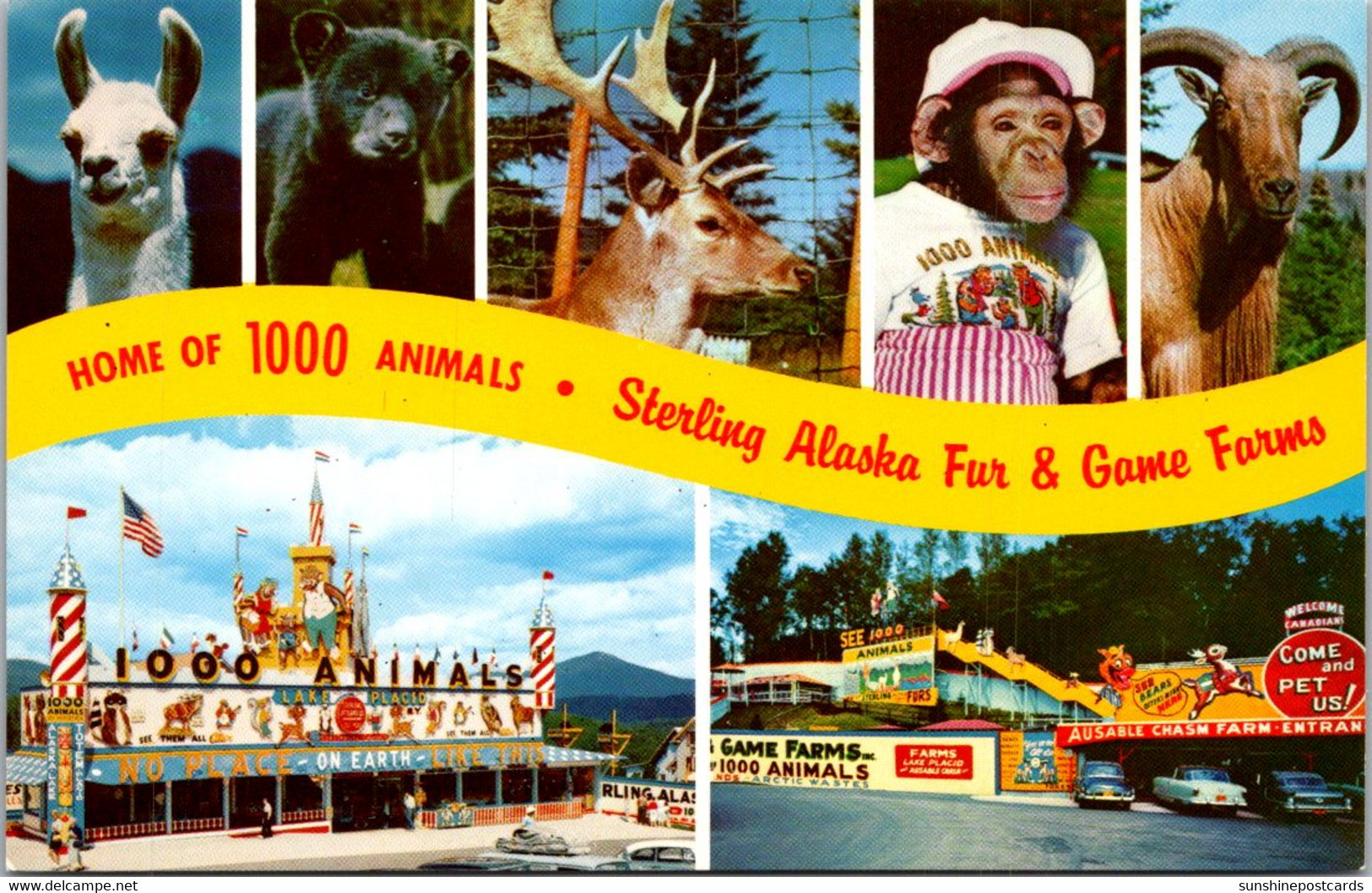 New York Lake Placid & Ausable Chasm Sterling Alaske Fur & Game Farms - Adirondack