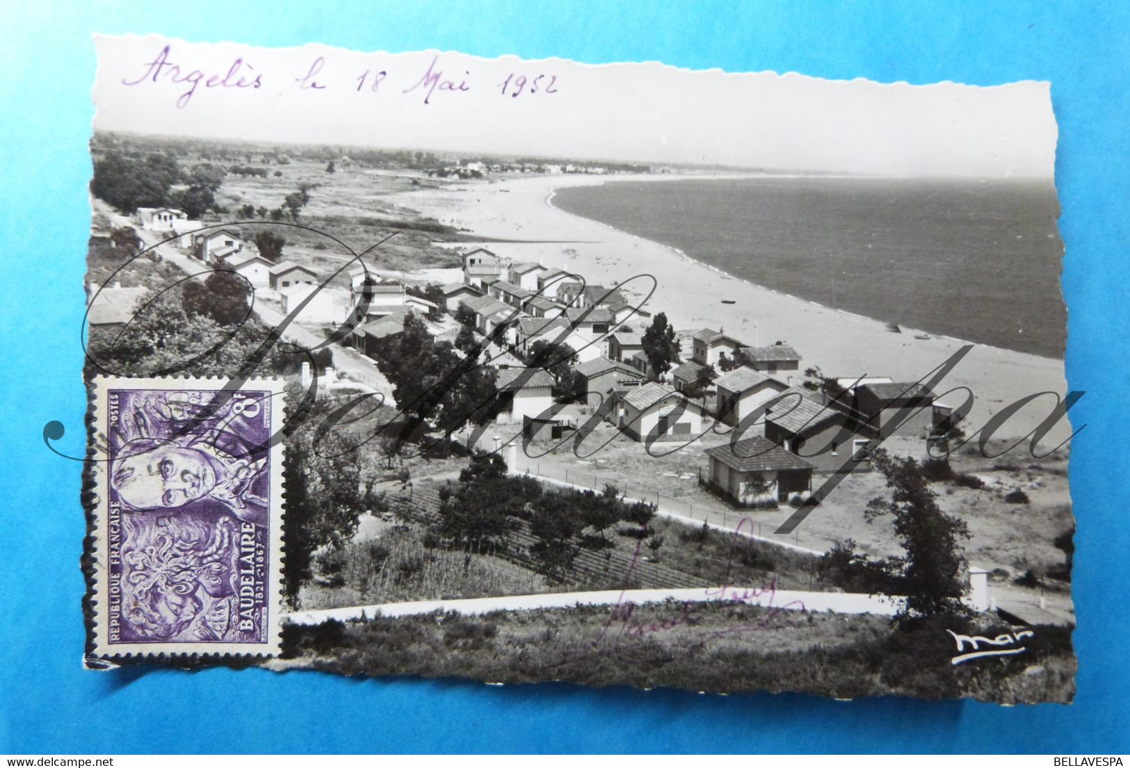 Argelès. Vue Generale De La Plage. D66-1952- Timbre N° 908 - Argeles Sur Mer