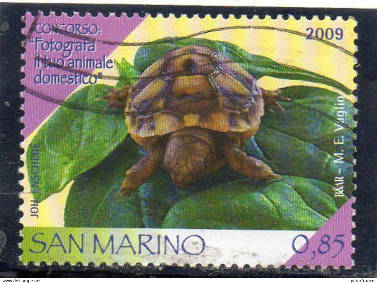 2009 San Marino - Concorso Fotografia Animale Domestico - Usados