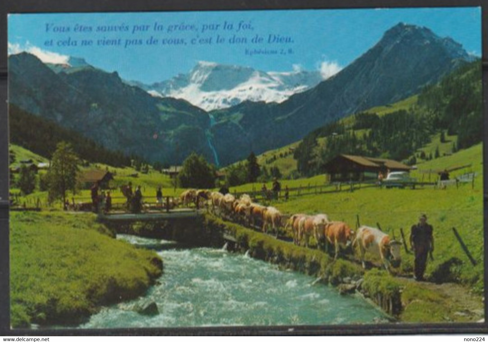 Carte P De 1979 ( Alpabfahrt, Wildstrubel ) - Trub