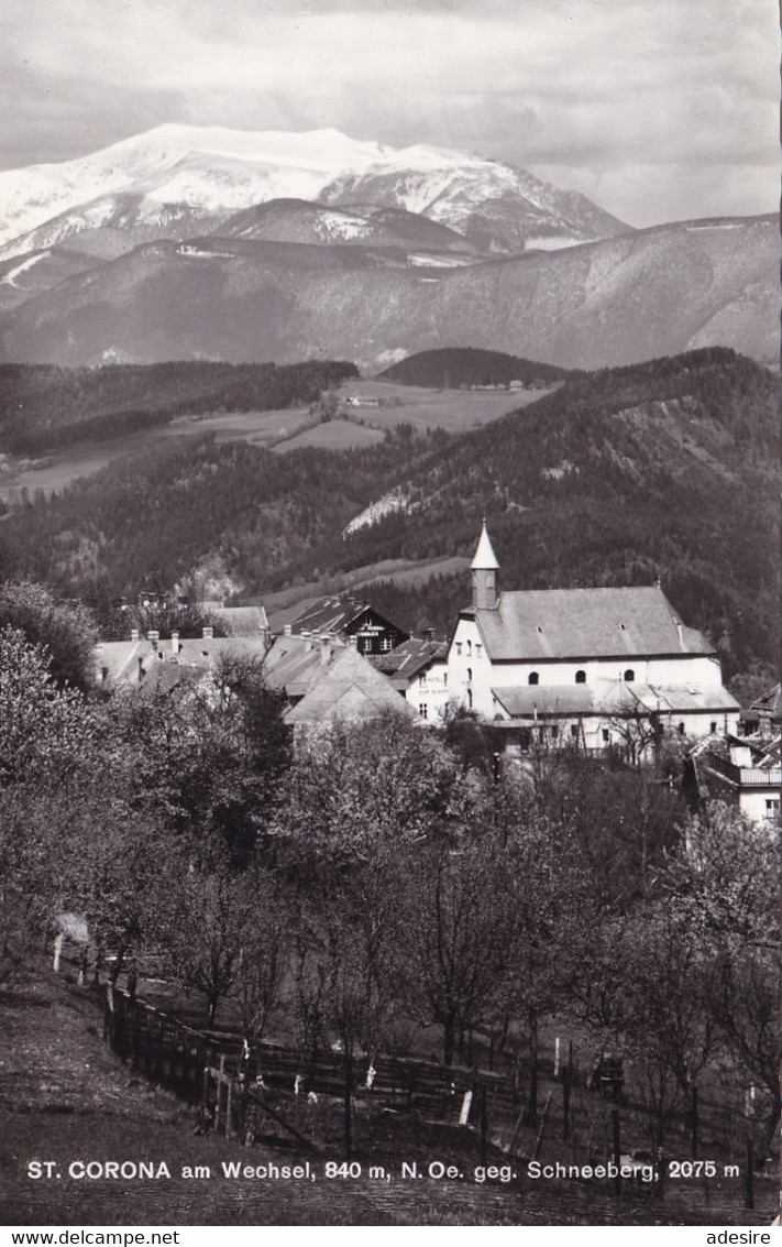 ST. CORONA Am Wechsel - Gegen Schneeberg, Fotokarte Gel.1966 - Wechsel