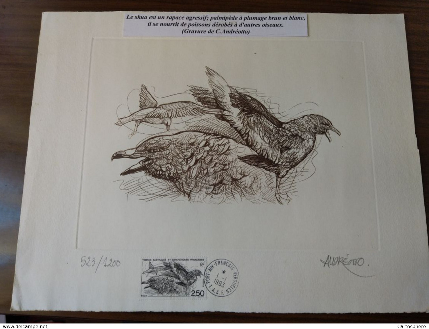 TAAF Gravure Lithographie / Velin 33 X 25 Cm Skua N° 523/1200 Signée Andréotto FDC N° 176 1993 - Imperforates, Proofs & Errors