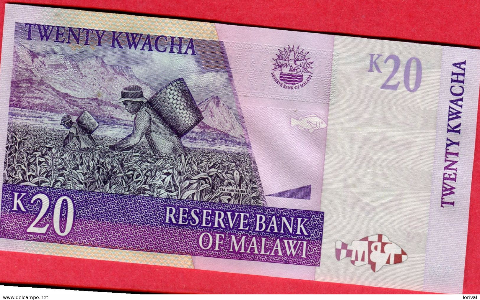 250 Kwacha 1989 Neuf 2 Euros - Malawi