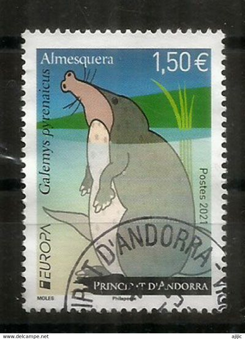 2021.Desman Des Pyrénées (Rat-trompette.Taupe Des Pyrénées).Europa Andorra FR.Oblitéré 1 ère Qualité (Espèce Vulnérable) - Used Stamps