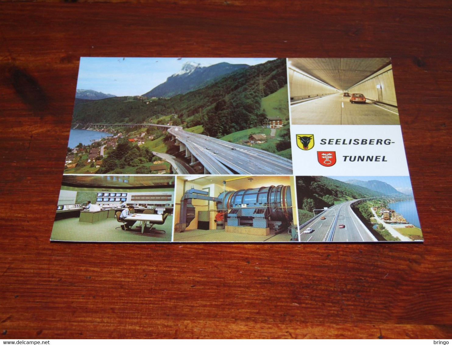 51339-                      SEELISBERG-TUNNEL - Berg