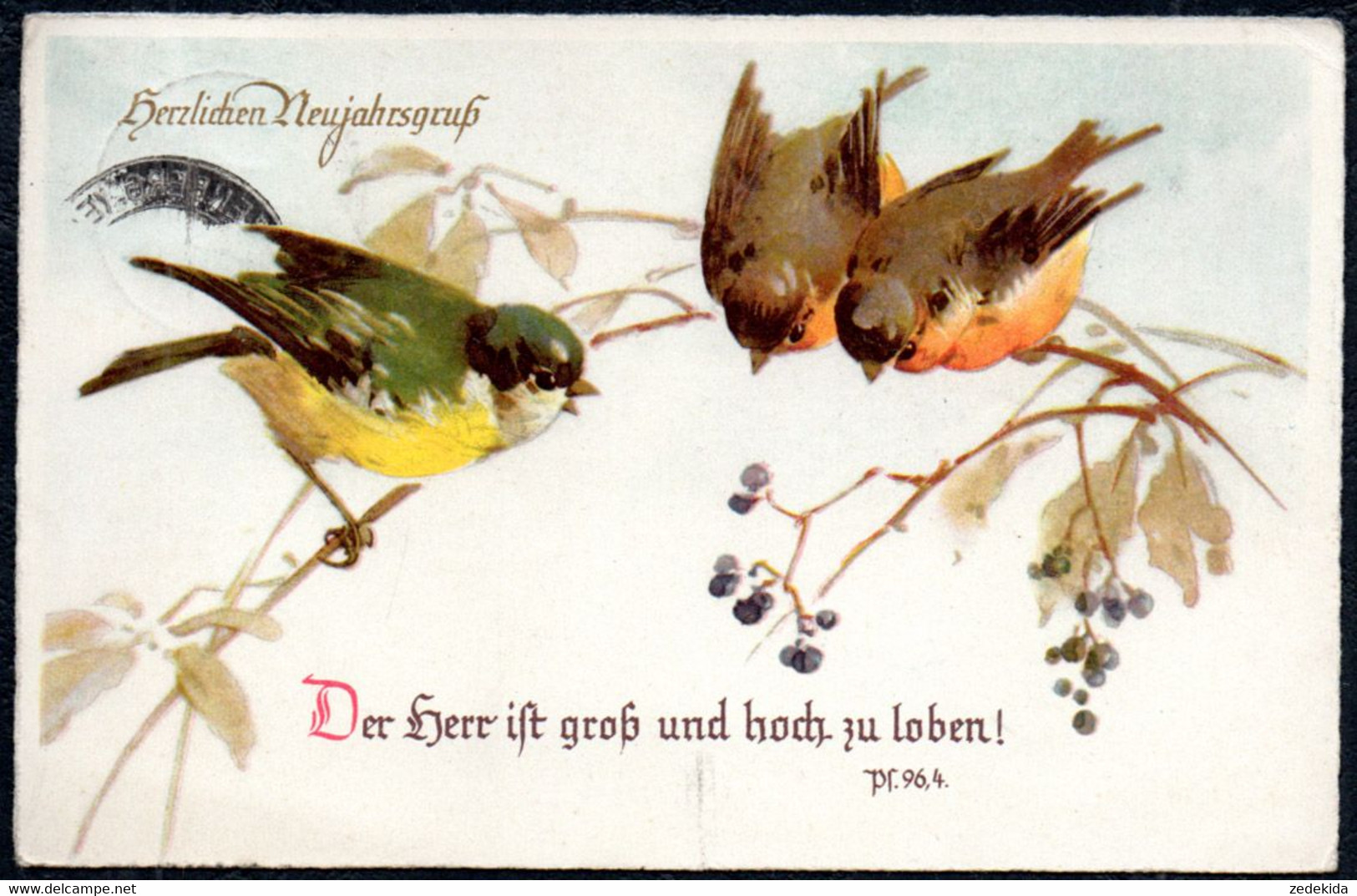 D9103 - Glückwunschkarte - Neujahr - Vögel Meise Fink - Gel Schwarzenberg - Año Nuevo