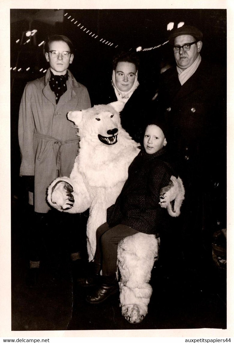 Photo Originale Déguisement D'Ours Blanc Polaire Eisbär Posant Avec Une Famille En Nocturne Vers 1960. - Persone Anonimi