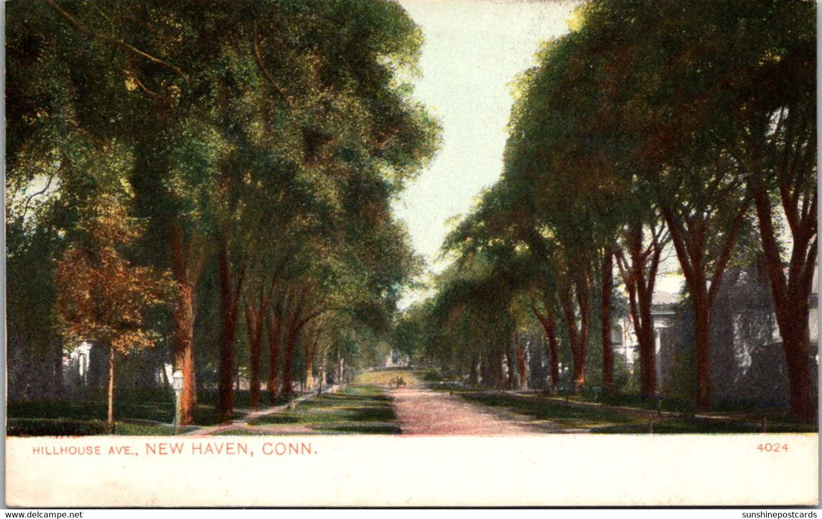 Connecticut New Haven Hillhouse Avenue 1908 - New Haven