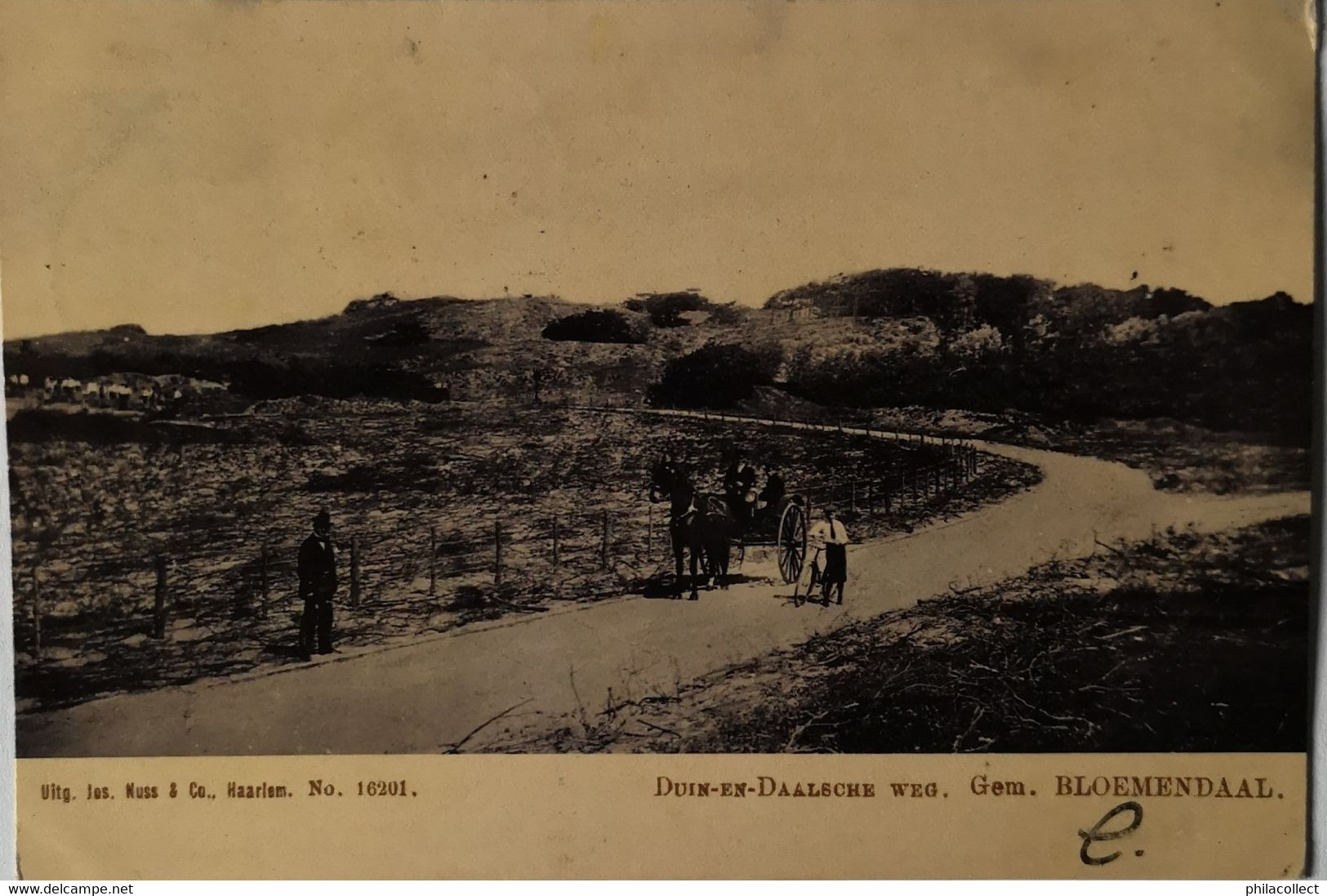 Bloemendaal // Duin En Daalscheweg Weg (niet Standaard) 1908 De Tulp - Bloemendaal